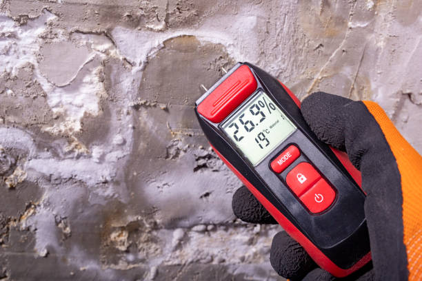 Best Residential Mold Remediation in Millersburg, OH