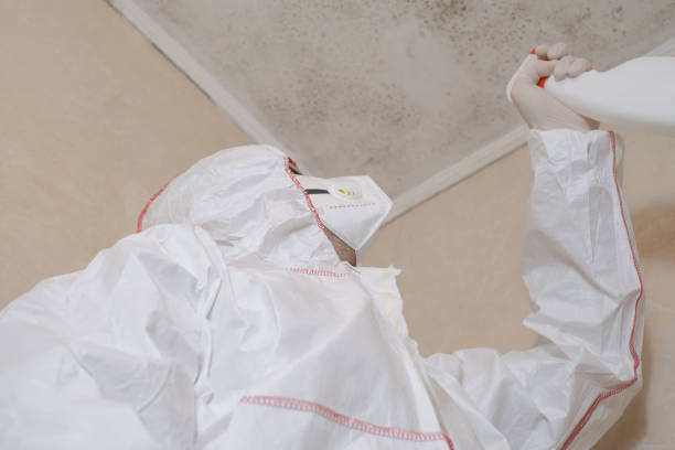 Best Industrial Mold Remediation in Millersburg, OH
